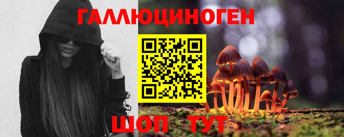 Псилоцибиновые грибы Magic Shrooms  Вход с VPN  Сунжа  Галлюциногенные грибы Psilocybine cubensis 